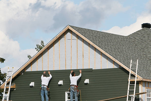 Best Vinyl Siding Installation  in Mclendon Chisholm, TX